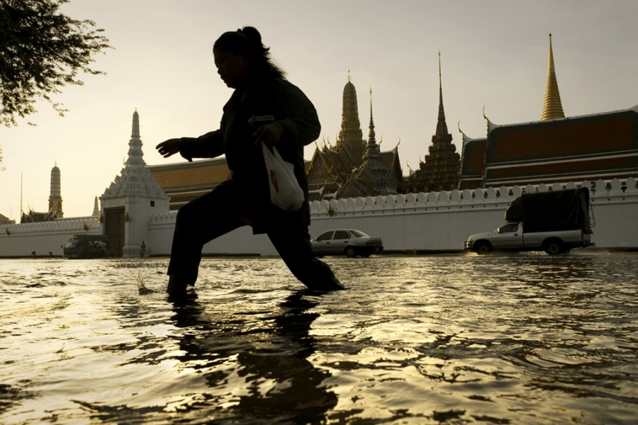 CREATOR: gd-jpeg v1.0 (using IJG JPEG v80), quality = 100
